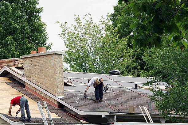 Best Storm Damage Roof Repair  in Lufkin, TX